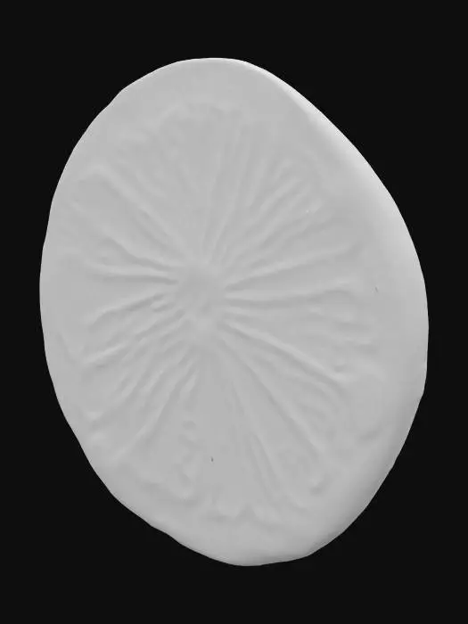 3D model for Lemon slice. Thin