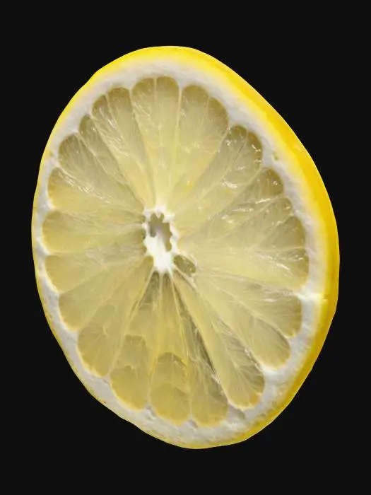 3D model for Lemon slice. Thin