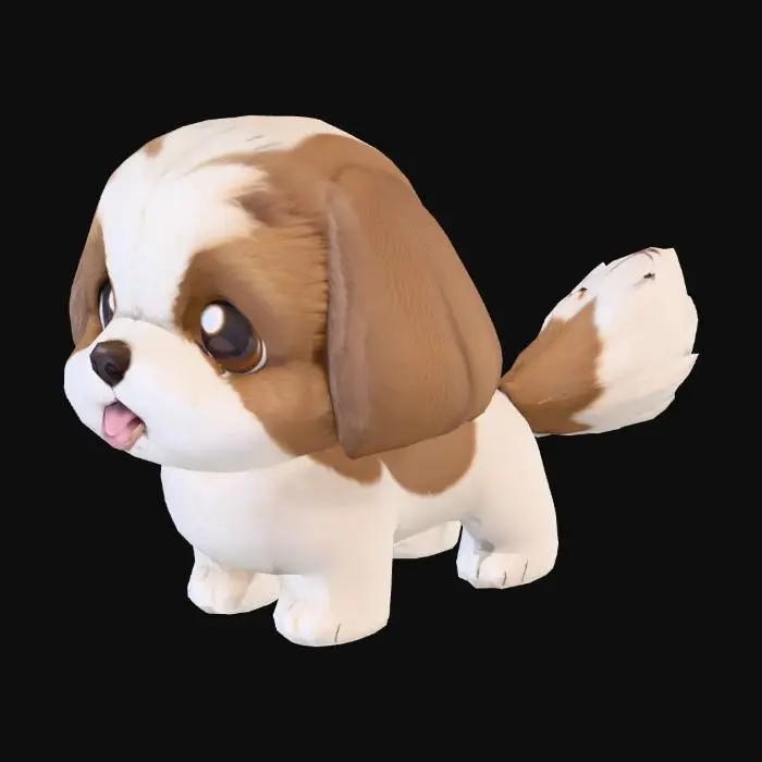 3D model for シーズー