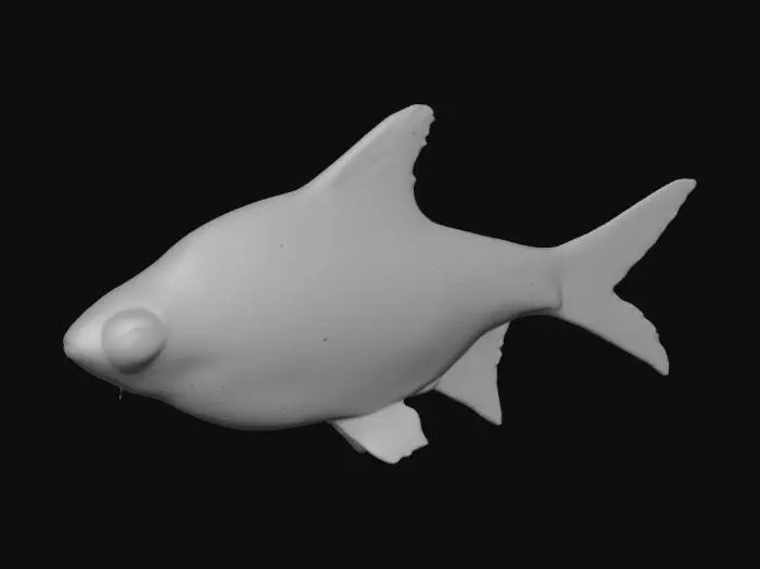 3D model for Silver Fish in Profile