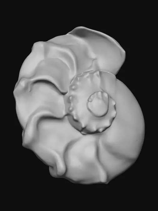 3D model for Spiral Elegance