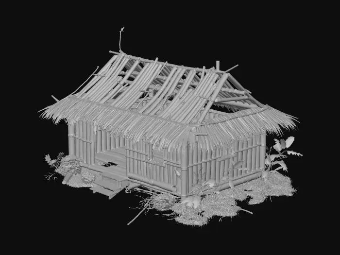 3D model for please make me a realistic old house made of bamboo and nipa hut that is not looking good and little bit destroyed