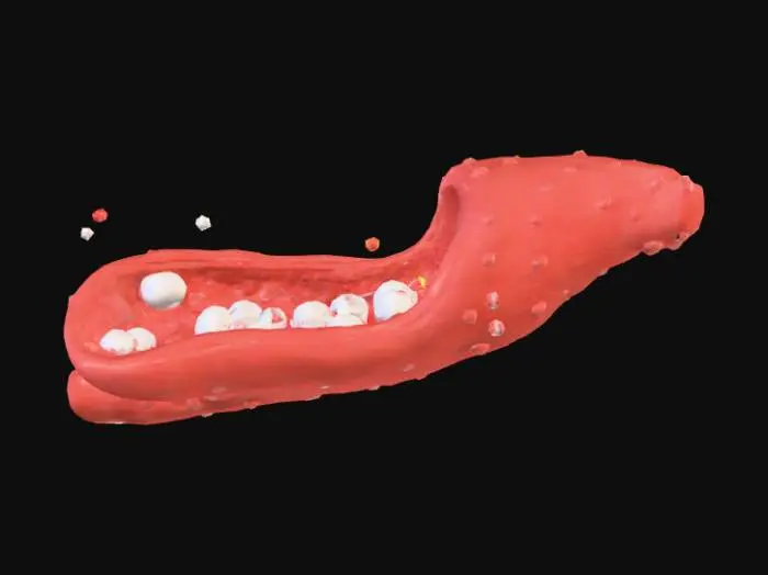 3D model for Create a 3D model on the drug action of Aspirin using the details specified below. The title and essence of the non-static 3D model is drug action of aspirin.
Start by showing a cross-section of a blood vessel with pain signals (jagged red lightning bolts) and inflammation (a pulsating red aura) on the vessel wall. In the bloodstream, disc-shaped platelets are clumping together.

White, crystalline Aspirin molecules enter the vessel. They bind to the pain signals and inflammation, causing them to fade away. Simultaneously, the Aspirin binds to the clumping platelets, causing them to break apart and flow smoothly as individual discs.

The blood vessel returns to a healthy appearance, and a soft, calming blue shimmer briefly pulses from the areas where the Aspirin acted, signifying relief.