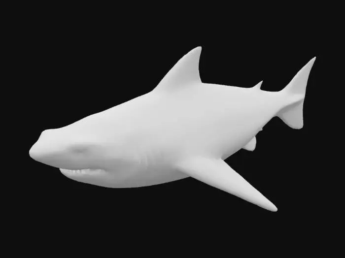 3D model for megalodon shark