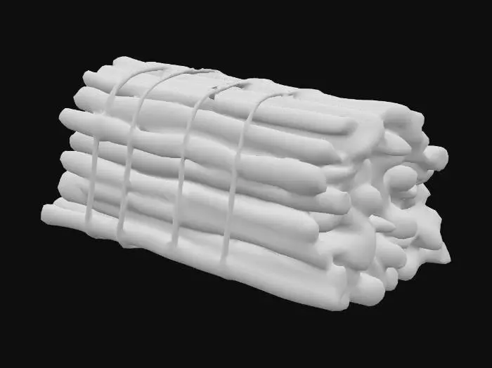 3D model for Bundle of Sticks