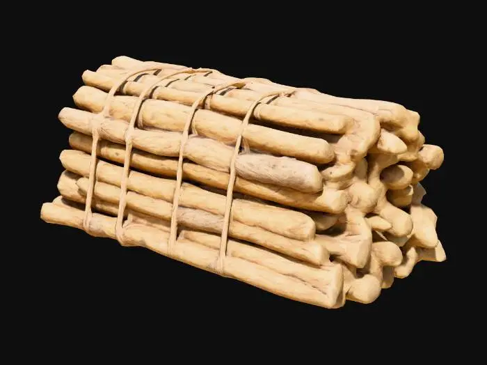 3D model for Bundle of Sticks