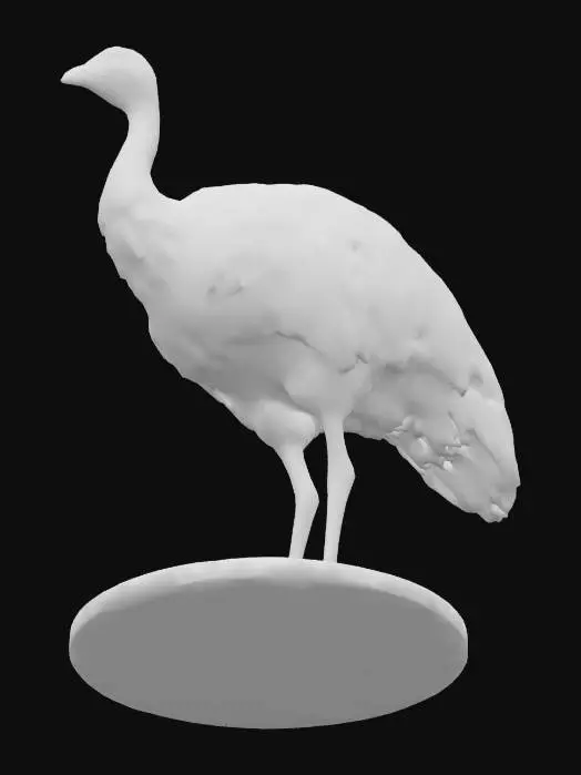 3D model for i need a emu to 3d print in hig quality put a flat bottom stand on it