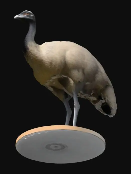 3D model for i need a emu to 3d print in hig quality put a flat bottom stand on it