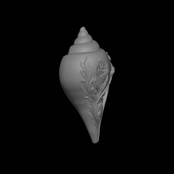 3D model for Golden Floral Conch