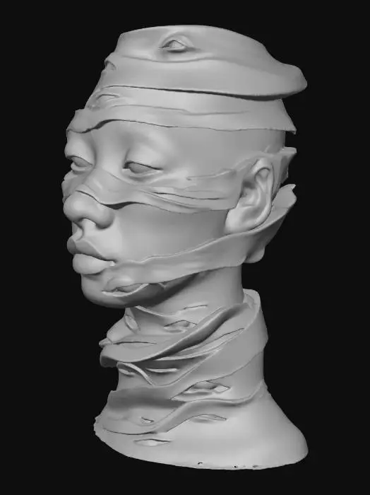 3D model for Enigmatic Visage