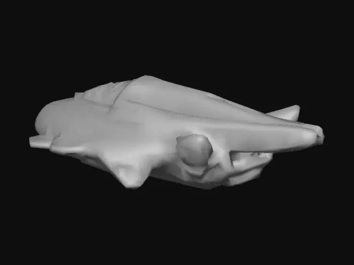 3D model for Passenger liner MSC