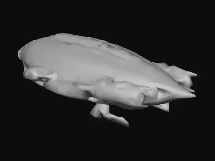 3D model for Liner Redondah