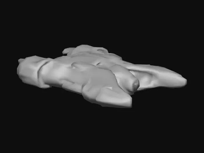 3D model for Defense Ship Alohah