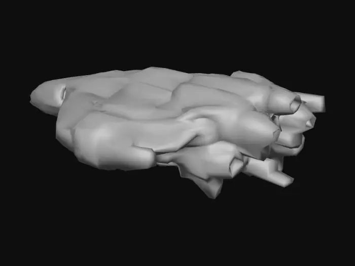 3D model for Advanced Ship Pursuit