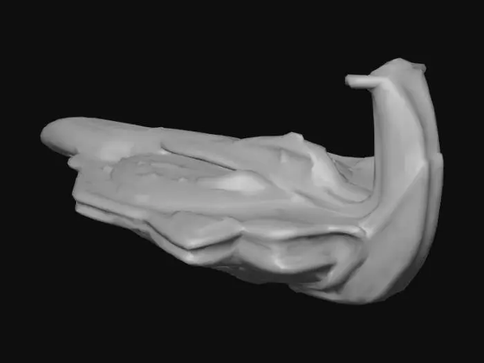 3D model for Alien Ship Stellar Voyager