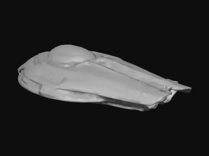 3D model for Mother Ship CemOlhos