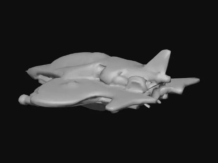 3D model for Cruiser Fastest