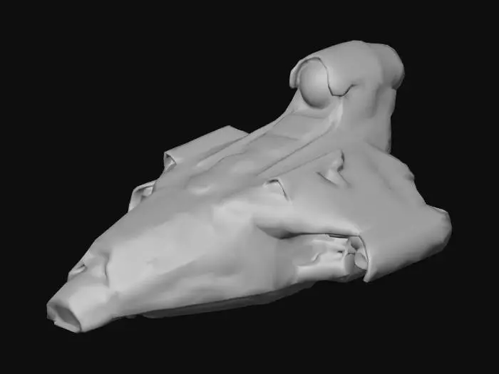 3D model for Adv.R.Ship Stellar Navigator