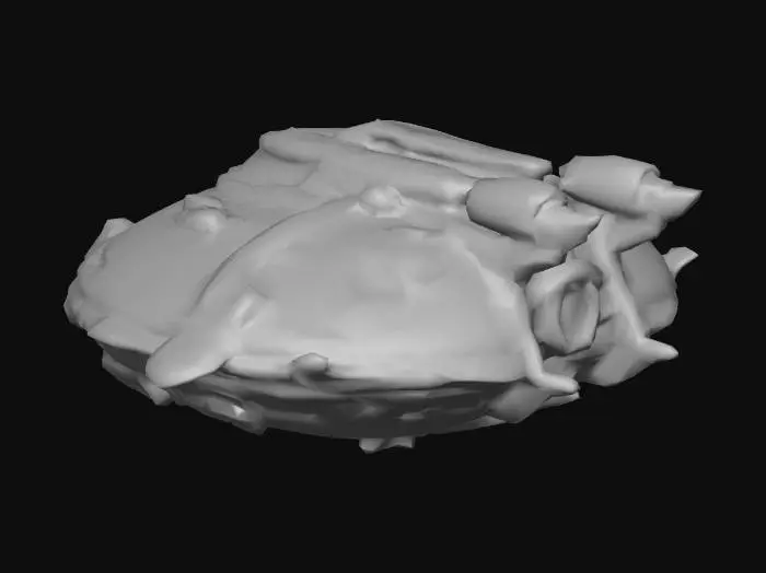 3D model for A.M.S. Redondoh