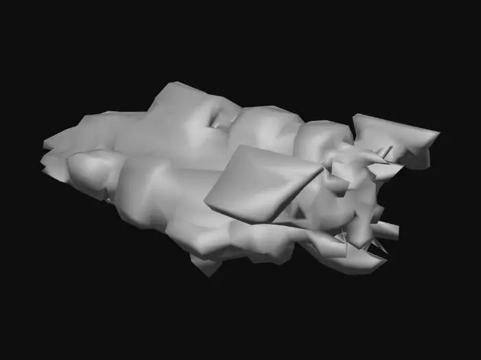 3D model for Adv.Rob.Ship Robusto