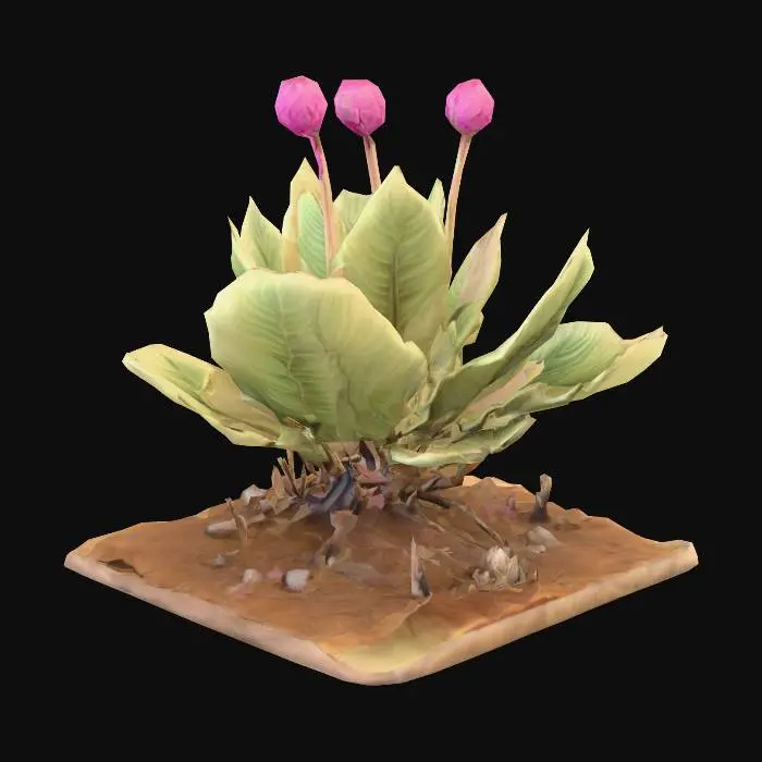 3D model for Alien Plant