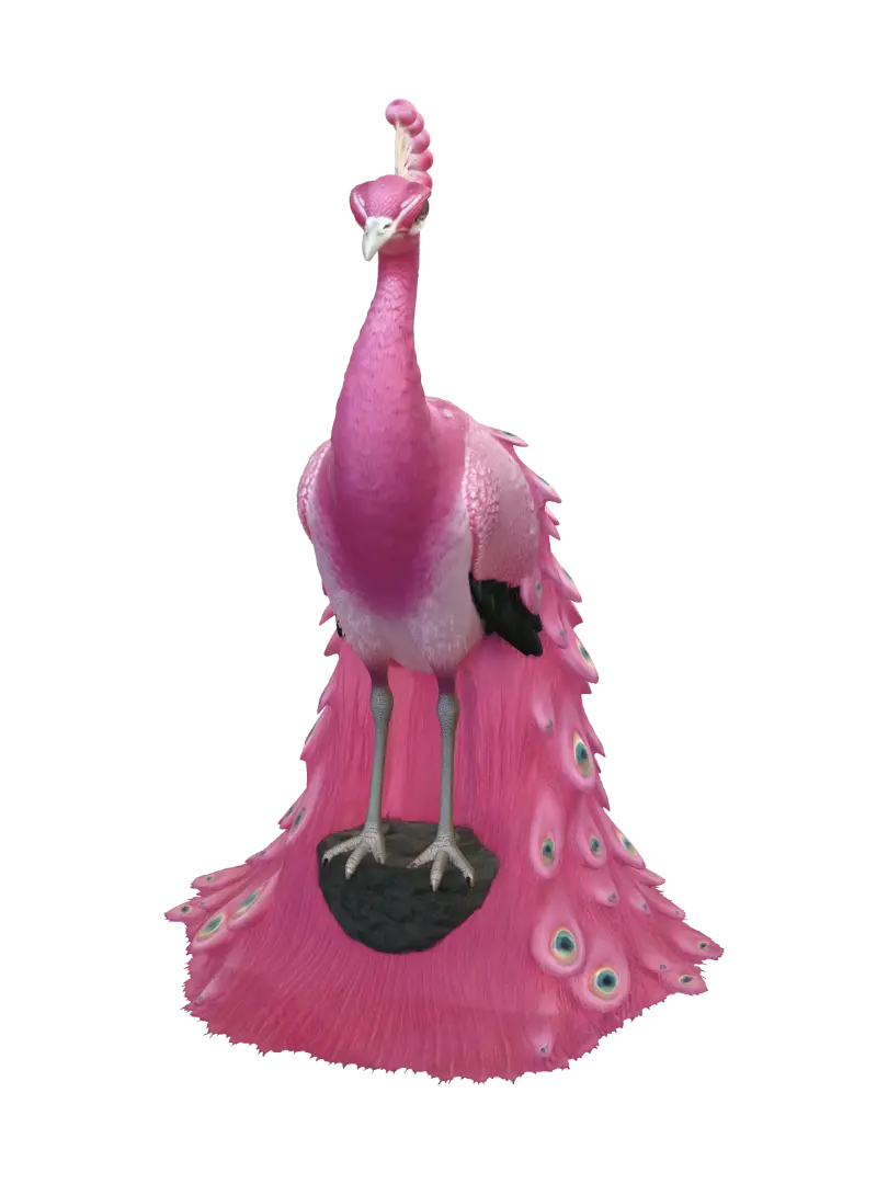 peacock