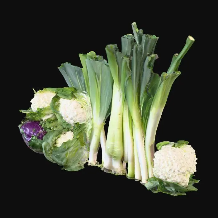 3D model for Vegetable Medley