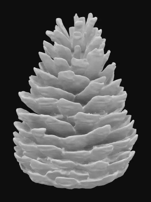 3D model for Pinecone Radiance
