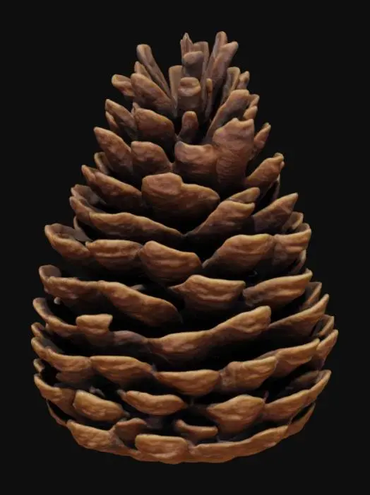 3D model for Pinecone Radiance