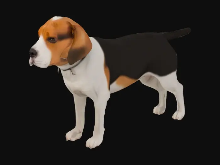 3D model for Pensive Beagle in Living Room