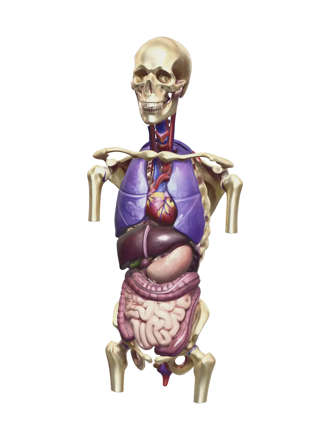 xray