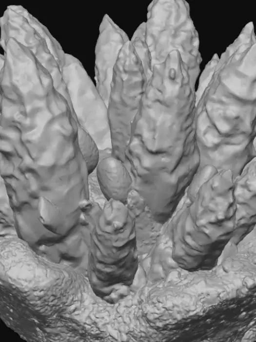 3D model for Generate a 3D model of an organic crystalline entity that appears to be a living mineral formation. The structure should be semi-symmetrical, with jagged crystal spires, porous rock textures, and glowing fissures. The creature should have a rigid outer shell made of quartz-like shards, with internal veins of molten energy visible through cracks. Include coral-like growths, mineral deposits, and signs of slow movement, like sediment trails or shifting plates. The color palette should include deep purples, obsidian black, and glowing amber. The model should evoke a sentient geological lifeform from a subterranean alien world, with clean topology suitable for animation or 3D printing