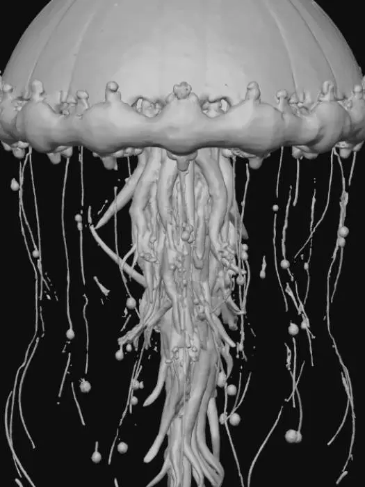 3D model for Generate a 3D model of a semi-transparent floating organic entity resembling a jellyfish-spore hybrid. The creature should have a central bulbous core with pulsating light, surrounded by trailing filaments, wispy tendrils, and floating sacs. Its surface should be smooth and gelatinous, with subtle iridescence and internal motion. The entity should appear to hover gently above a misty swamp environment, with twisted roots, shallow water, and dense fog surrounding it. Include environmental elements like moss-covered stones, bioluminescent fungi, and drifting particles to enhance immersion. The color palette should feature pale greens, soft purples, and glowing cyan. The model should be suitable for animation or scene integration, with clean topology and environmental anchoring