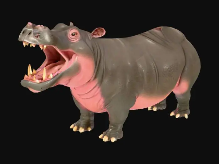 3D model for a highly detailed hippopotamus standing on all four legs with its mouth open very wide
