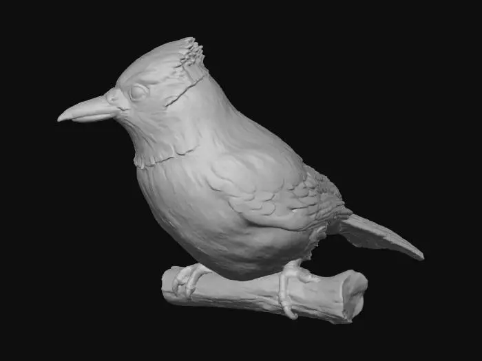 3D model for Blue Jay Beauty