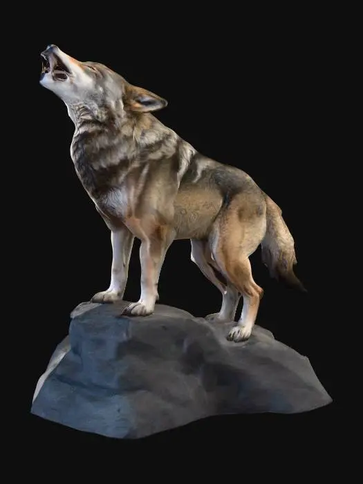 3D model for a wolf howling on a rocky outcrop