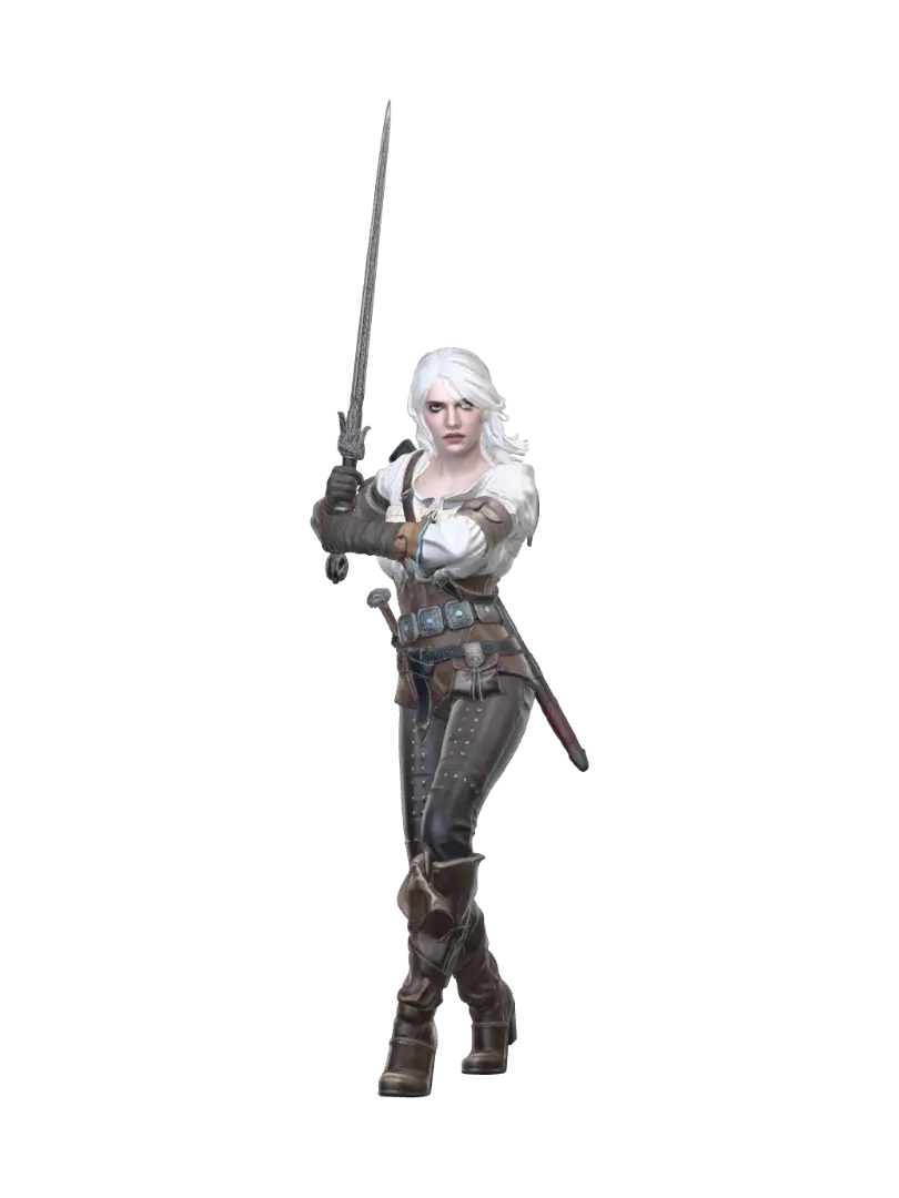 witcher