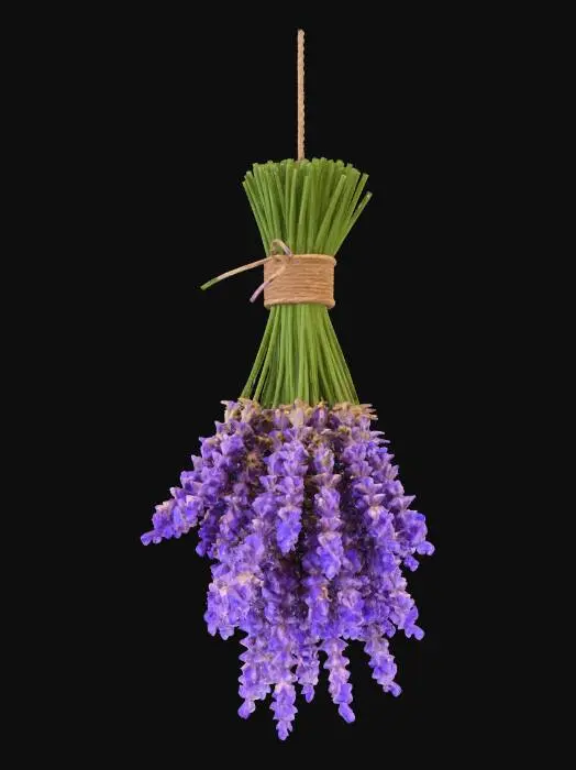 3D model for Lavender Elegance