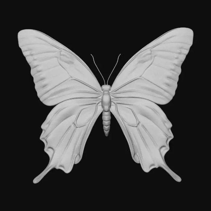 3D model for Ivory Wings