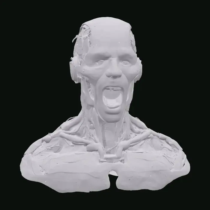 3D model for Resonance of the Machine