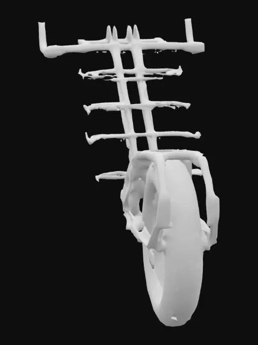 3D model for Off-Road Bike Trailer