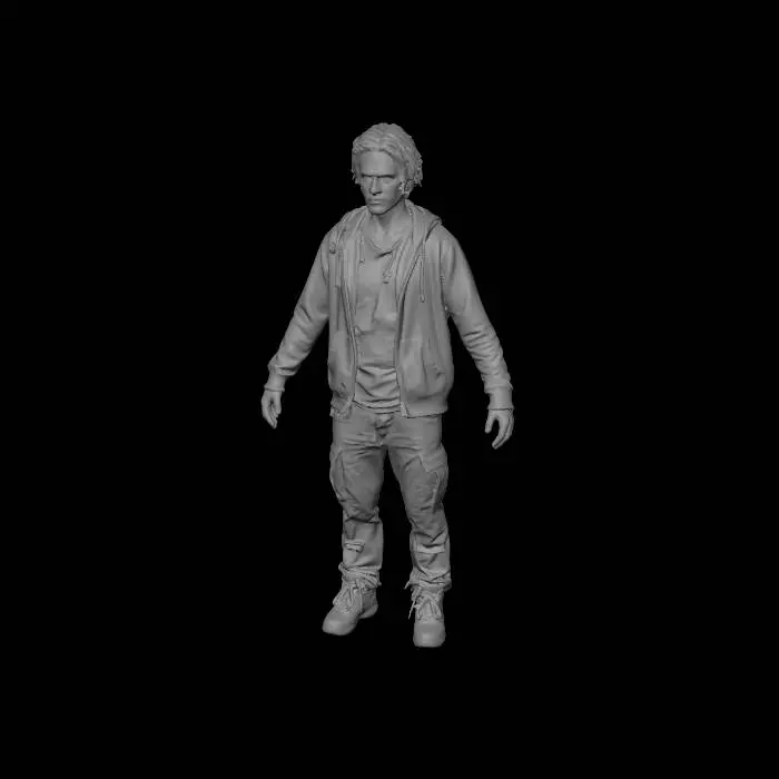 3D model for Desolate Survivor