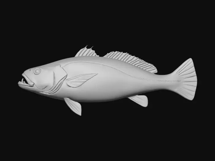 3D model for Atlantic cod