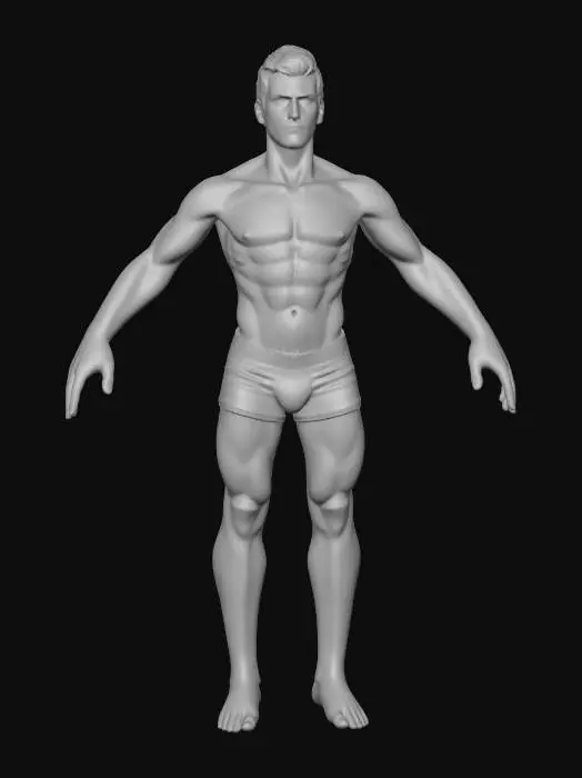 3D model for Digital Anatomical Study