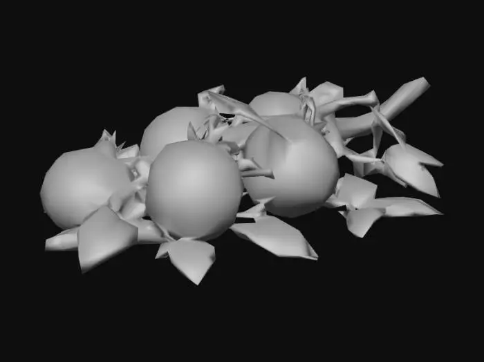 3D model for a Tomato vine with bright red tomatoes and vivid green vines