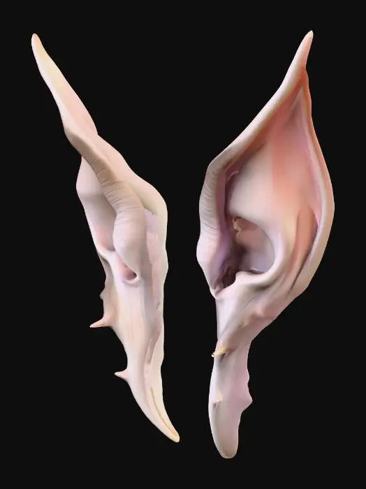3D model for A pair of standalone ears designed as a hybrid between elven grace and goblin ruggedness, crafted with elongated pointed tips that curve slightly upward like elves, yet with irregular ridges and a subtle rough texture reminiscent of goblin heritage. The skin is pale white, smooth but with faint veins and slight imperfections, giving a natural yet otherworldly look. The ears feel slightly asymmetrical, as though shaped by both beauty and corruption, blending delicate curves with raw, uneven edges. No head, no hair, no jewelry—only the isolated ears floating cleanly in space. The overall style is semi-realistic 3D stylized, with sharp anatomical detail and clear definition, ready for precise 3D modeling and animation workflows.