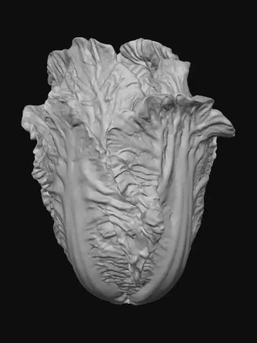 3D model for A 3D cartoon lettuce head, the leaves look like soft, green silk fabric. Stylized, glowing, detailed, isolated.