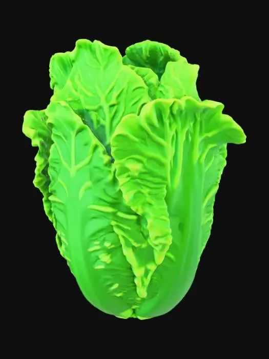 3D model for A 3D cartoon lettuce head, the leaves look like soft, green silk fabric. Stylized, glowing, detailed, isolated.