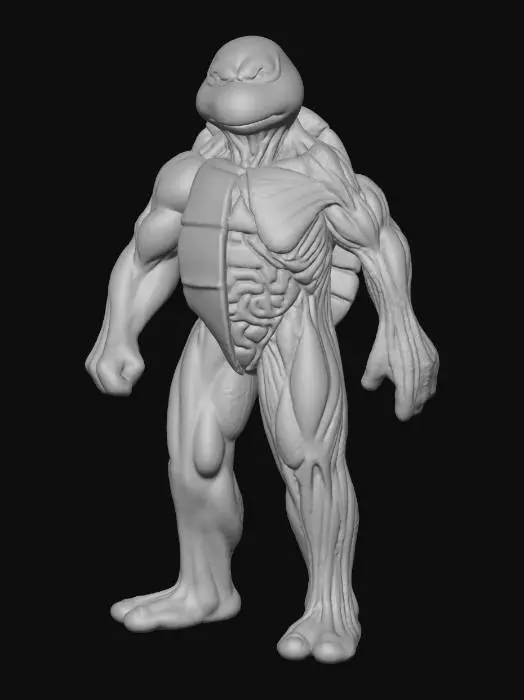 3D model for Anatomy of a Turtle Hero