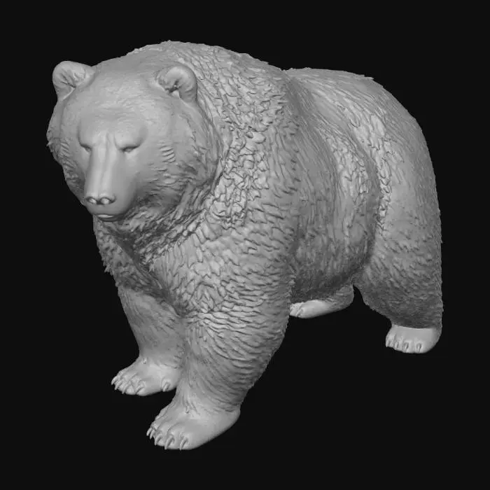 3D model for Forest Sentinel